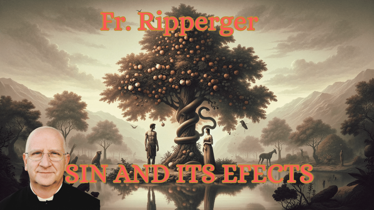 Fr. ripperger